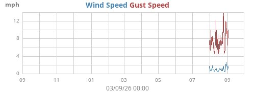 yearwind